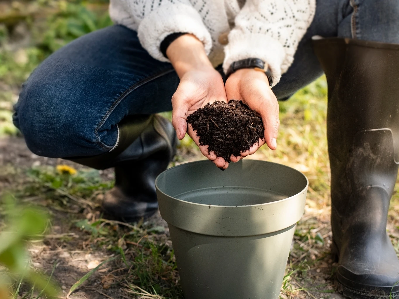 Świeży kompost, gotowy do rozsypania na grządkach warzywnych. 