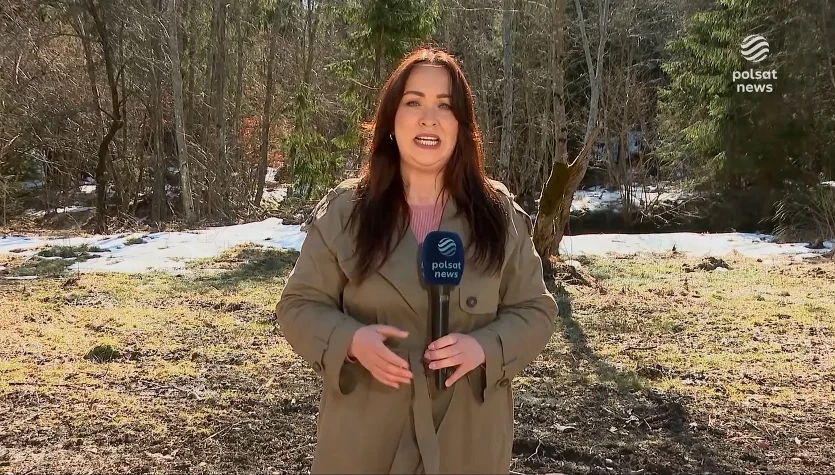 "Wydarzenia": Atak niedźwiedzia w Bieszczadach. Zaatakowany miał mnóstwo szczęścia