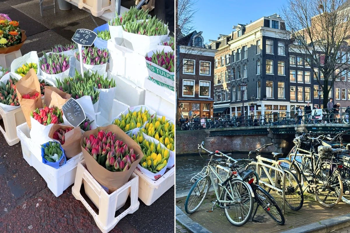 Stoiska z kolorowymi tulipanami w białych skrzynkach oraz widok na miejską ulicę nad kanałem, z zaparkowanymi rowerami i charakterystyczną zabudową dawnej architektury.