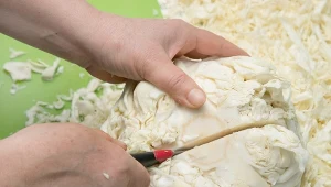 Ten sok działa jak plaster na żołądek i jelita. Polacy go nie doceniają