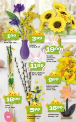 Twoja radosna Wiekanoc - Twój Market