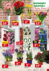 Włącz promocje - Twój Market