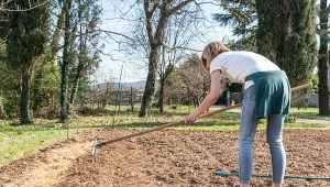 Węgiel organiczny w ogrodzie. Kluczowy składnik poprawiający jakość gleby