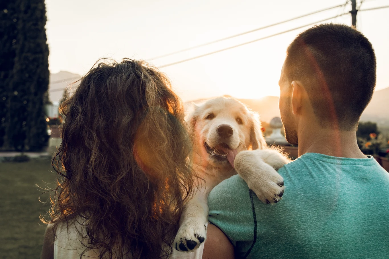 Para stojąca na zewnątrz podczas zachodu słońca trzyma na rękach radosnego szczeniaka golden retrievera, zwróconego do aparatu.