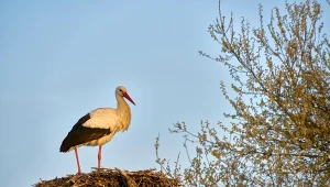 Jaka będzie pogoda w najbliższych dniach?
