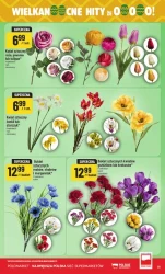 Wielkanocna loteria - POLOmarket