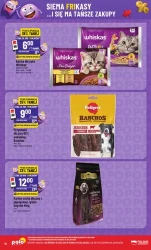 Frikasowe hity - POLOmarket