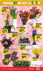 Wielkanocne promocje - POLOmarket