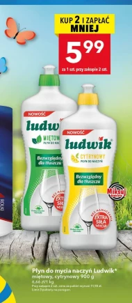 Płyn do naczyń Ludwik