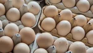 Są lepsze niż zwykłe jajka. Polacy w sklepach wciąż je ignorują