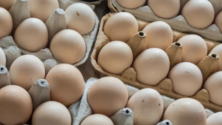 Kolejna sieć wycofuje ze sprzedaży jaja z chowu klatkowego