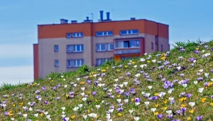 W marcu pojawiają się pierwsze zwiastuny wiosny