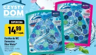Туалетний куб Domestos