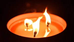 TVP żegna ikonę. Legendarna dziennikarka odeszła w wieku 94 lat