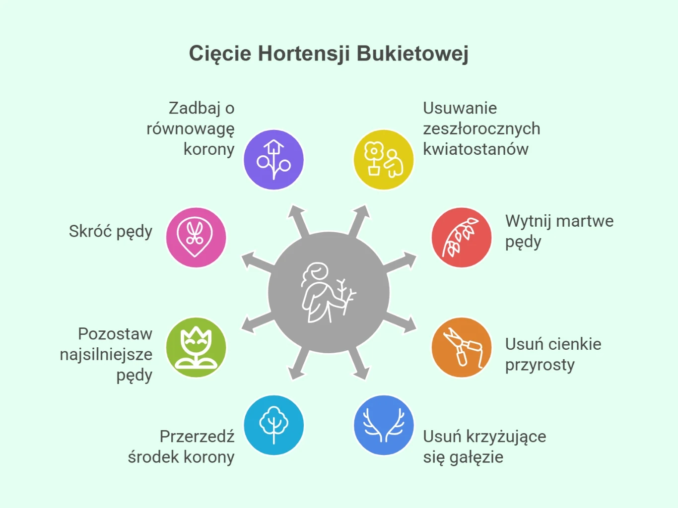 Infografika przedstawiająca osiem zasad cięcia hortensji bukietowej w formie kolorowych ikon i krótkich opisów ułożonych wokół centralnego symbolu rośliny, ze wskazówkami dotyczącymi pielęgnacji pędów, równowagi korony, usuwania martwych części oraz se...