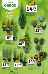 Strefa ogród - Auchan