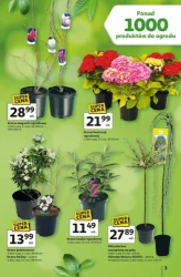 Strefa ogród - Auchan