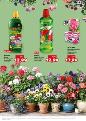 Wiosenne inspiracje - Kaufland