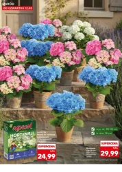 Wiosenne inspiracje - Kaufland