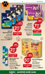 Akcja złotówka - Żabka