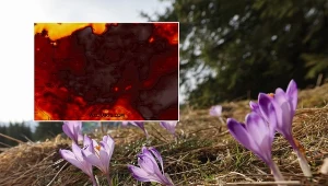 Deszcz popada lokalnie. W większości kraju zrobi się bardzo ciepło