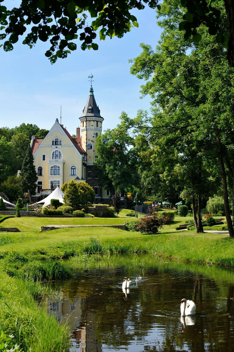 Duży żółty pałac z wysoką wieżą otoczony zielonym parkiem, na pierwszym planie staw z trzema pływającymi łabędziami i bujna roślinność dookoła.
