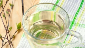 Ten naturalny sok pito już 500 lat temu, aby wzmocnić organizm po zimie.