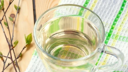 Ten naturalny sok pito już 500 lat temu, aby wzmocnić organizm po zimie.