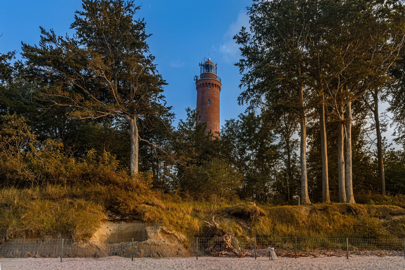 Czerwona latarnia morska wyłania się spomiędzy wysokich drzew, otoczona zieloną roślinnością, na pierwszym planie piaszczyste wydmy porośnięte trawą.