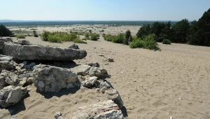 Wiosenny spacer po Pustyni Błędowskiej. Unikalny rejon zachwyca turystów