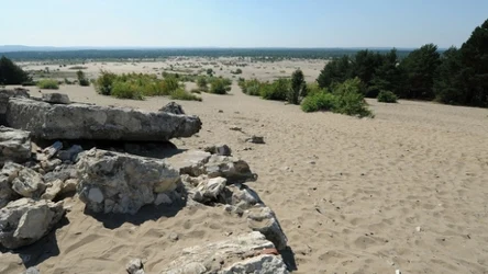 Pustynia Błędowska często nazywana jest polską Saharą