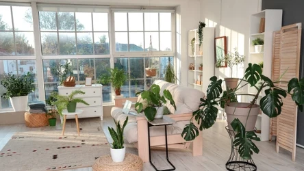 Na czym warto ustawiać kwiaty? To najmodniejsze rozwiązanie