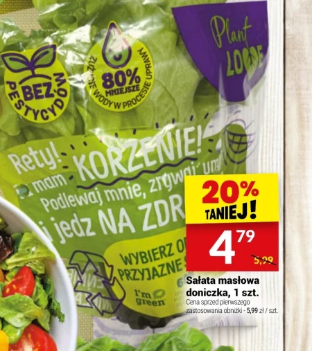 Масляний салат