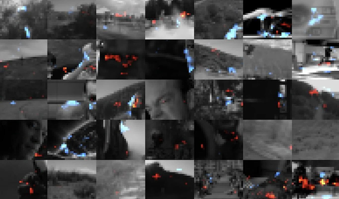 Tak mózg widzi świat. Zrekonstruowali to na podstawie aktywności neuronów Tak mózg widzi świat. Pokazała to rekonstrukcja sygnałów neuronów