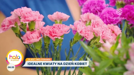 Co dodać do wazonu? Kasia Joda radzi, jak przedłużyć życie ciętych roślin