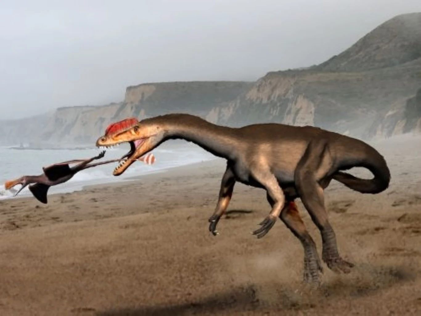 Duży drapieżny dinozaur z długą szyją i czerwonym grzebieniem na głowie trzyma w pysku latającego gada, stojąc na piaszczystym terenie z klifami w tle.
