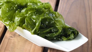 Sałata morska to jedna z najbardziej odżywczych alg. Zawiera jod, witaminy i przeciwutleniacze, które wspierają metabolizm oraz odporność