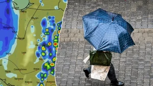 Od czwartku do Polski wrócą deszcze i lokalne burze. Miejscami na południu może też popadać deszcz ze śniegiem, a w górach śnieg