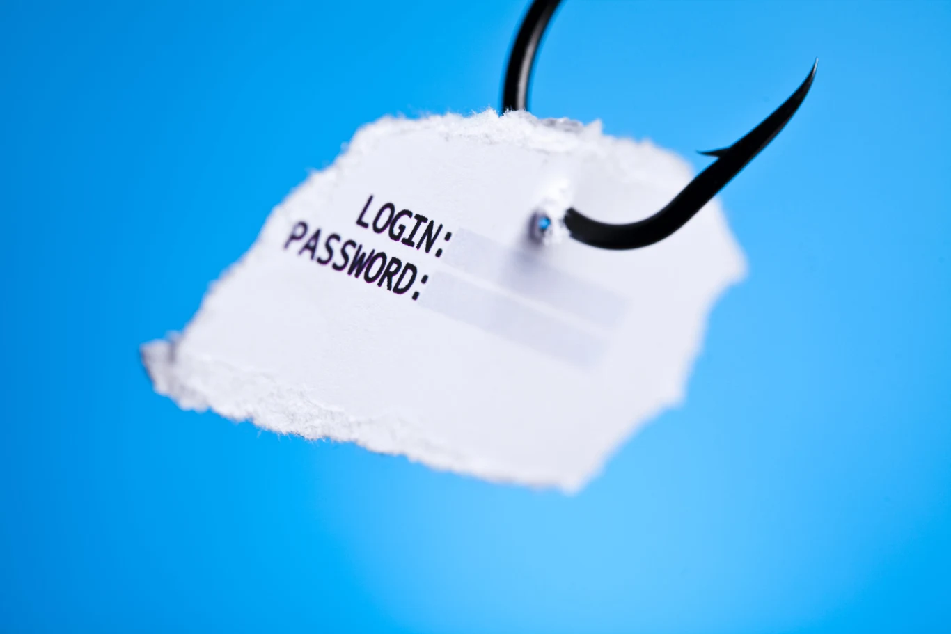 Akcja phishingowa na stronie polskiego samorządu article cover