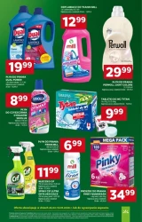 Marcowy ogród - Stokrotka Market