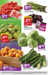 Smaki tygodnia - Stokrotka Express