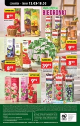 Polskie smaki w Biedronce