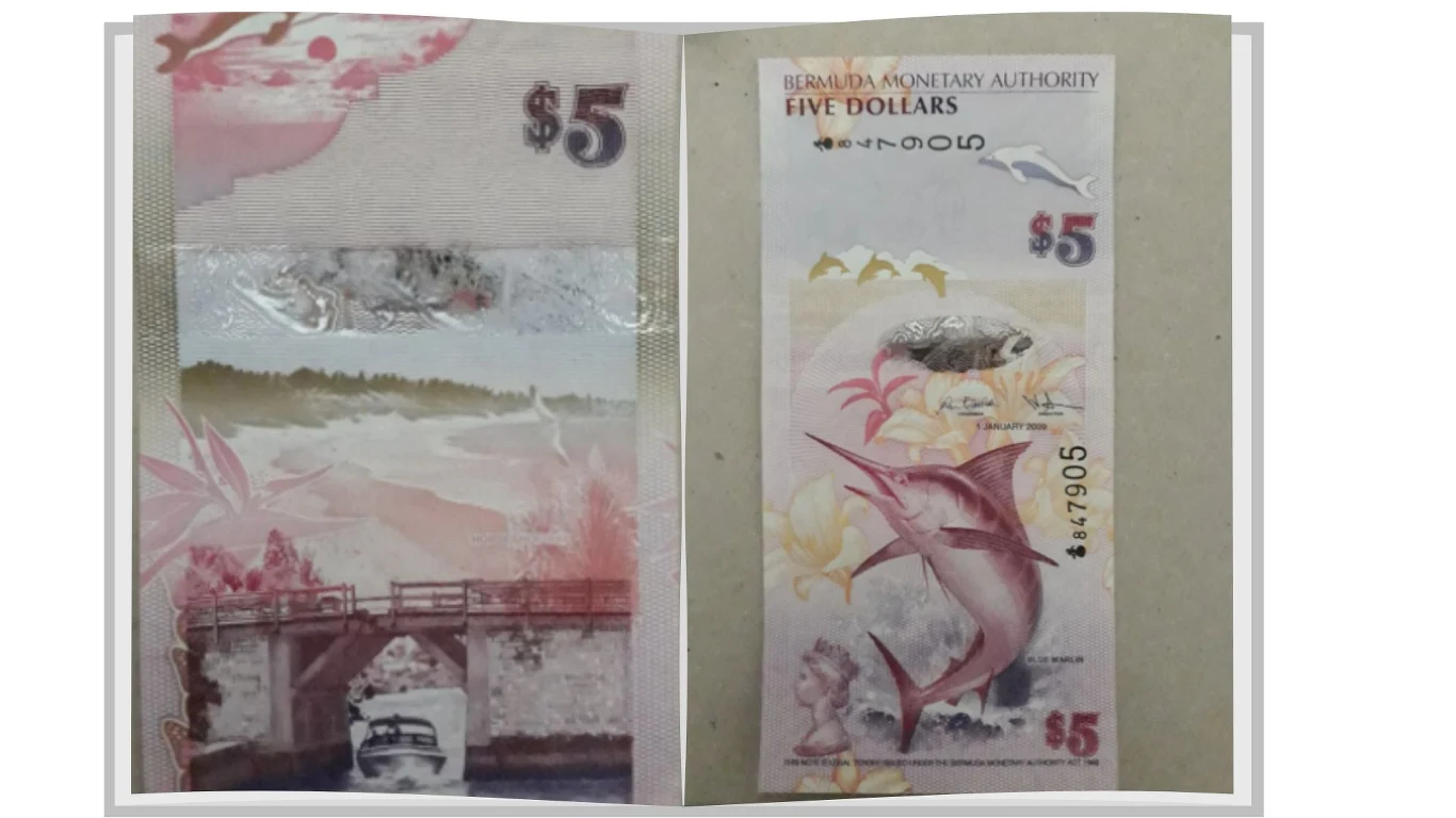 Banknot o nominale 5 dolarów z motywami fauny i flory wodnej, z dominującymi wizerunkami rekina i ptaków na tle pastelowych barw, po lewej stronie elementy krajobrazu z mostem i wodą.