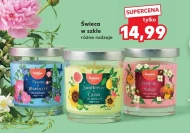 Свічка Bolsius