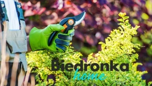 Przygotuj swój ogród na wiosnę. Sprzęt i meble ogrodowe w wyjątkowych promocjach