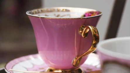 Filiżanka herbaty z dzikiej róży to najlepsza ochrona przy przesileniu wiosennym