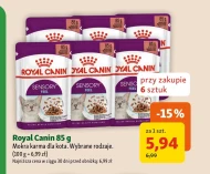 Вологий корм для котів Royal Canin