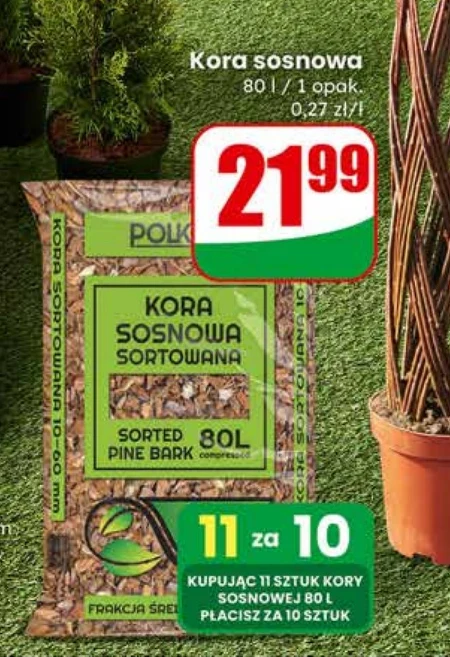 Соснова кора Kora