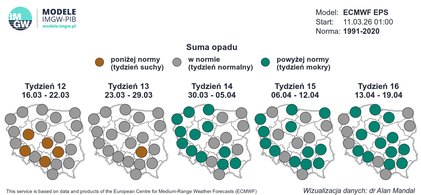 Mapa Polski podzielona na pięć tygodniowych okresów prognozy opadów, oznaczona trzema kolorami: brązowym dla obszarów o sumie opadów poniżej normy, szarym dla wartości w normie oraz zielonym dla sum powyżej normy; dominacja brązu w tygodniu 12, szarośc...