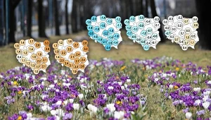 Pogoda długoterminowa na Wielkanoc 2026 wskazuje wyraźne ochłodzenie i więcej opadów deszczu